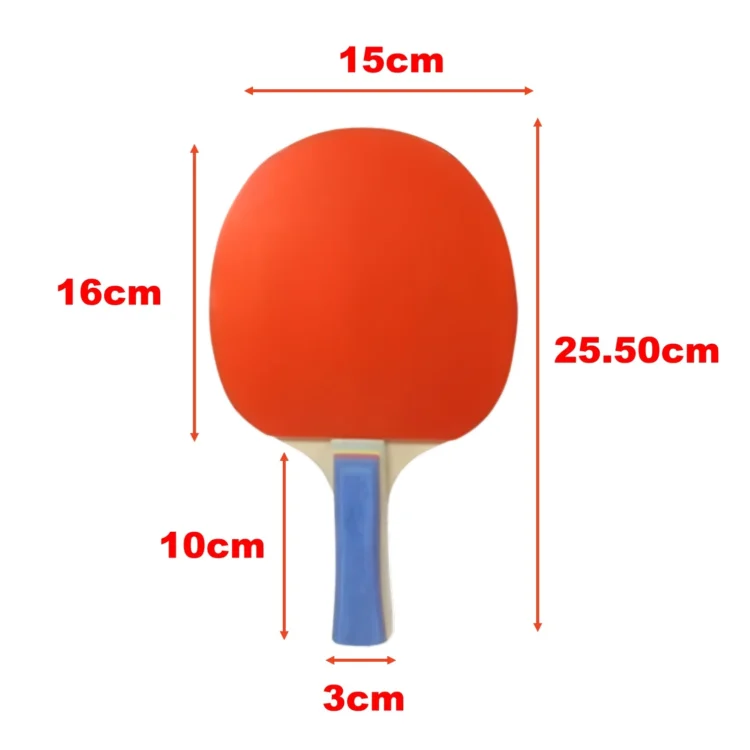 SET PARA PING PONG WINSTAR (2 PALETAS + 3 PELOTAS + RED + ESTUCHE) - Imagen 3